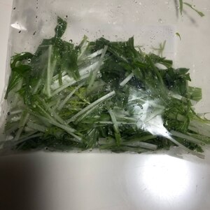 便利‎♫*水菜の冷凍保存✧˖°